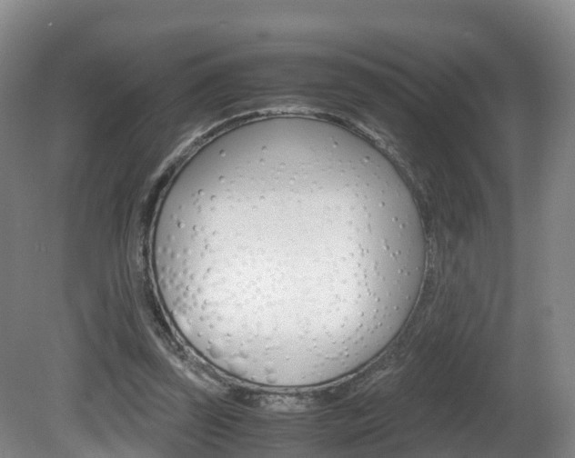 X0000081570347200701151031