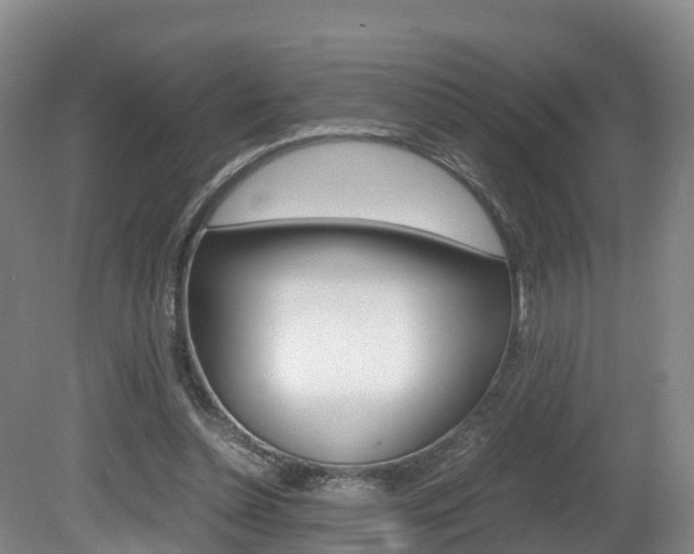 X0000081570348200701151031