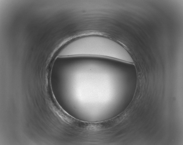 X0000081570350200701151031