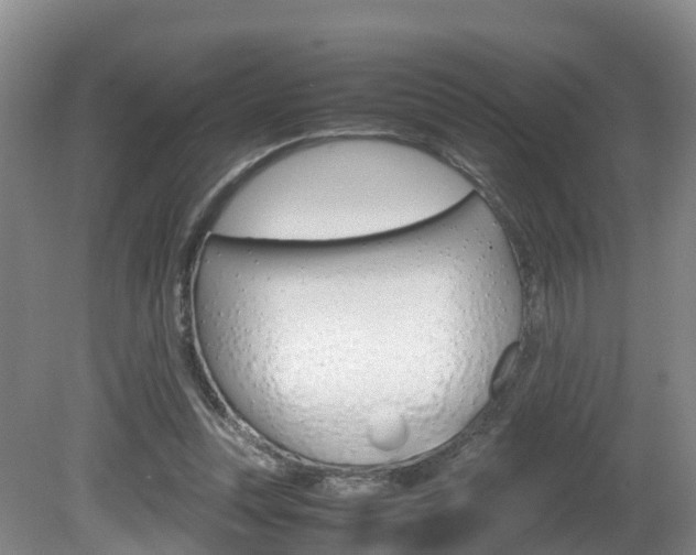 X0000081570351200701151031