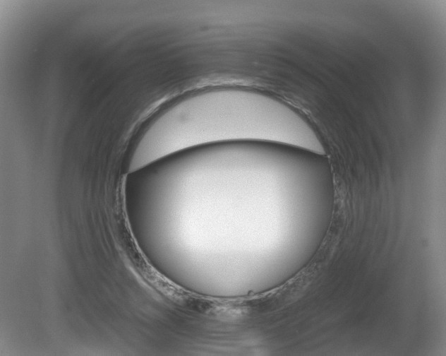X0000081570352200701151032