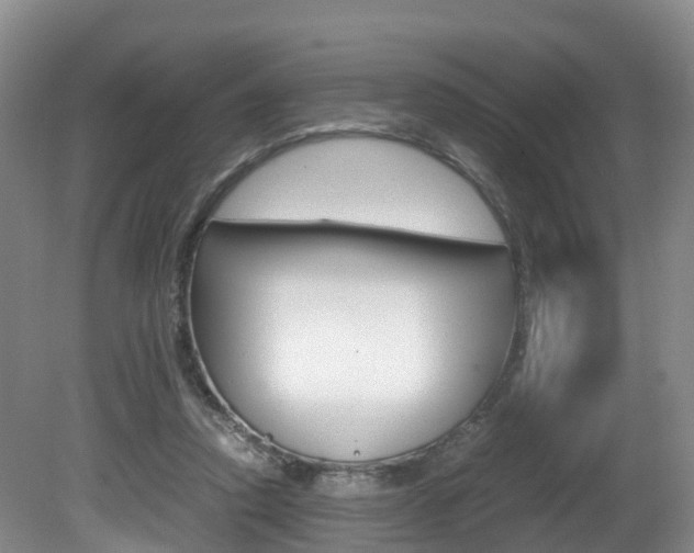 X0000081570354200701151032