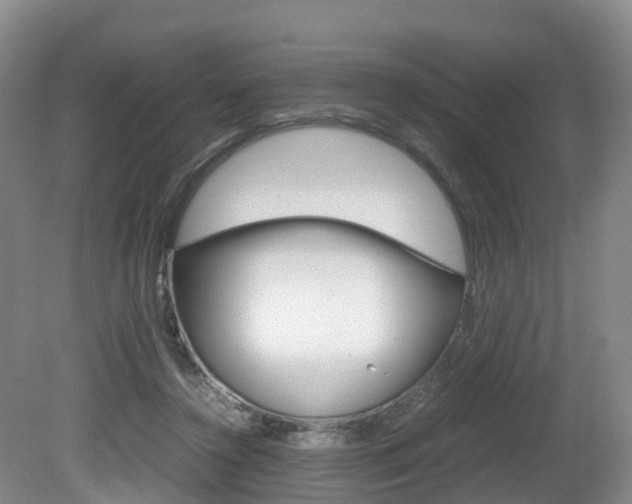 X0000081570356200701151032