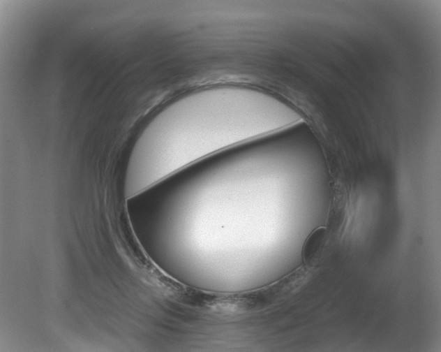X0000081570358200701151032