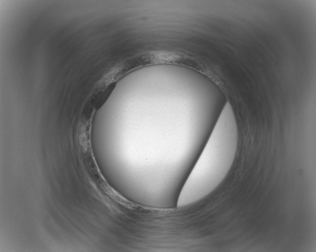 X0000081570360200701151032