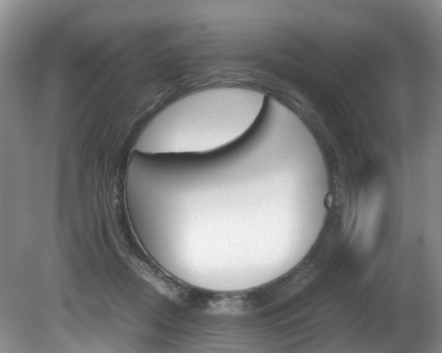 X0000081570362200701151032