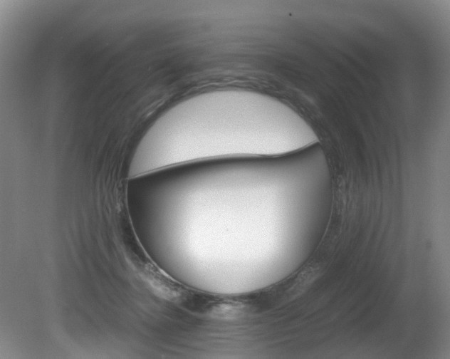 X0000081570364200701151032