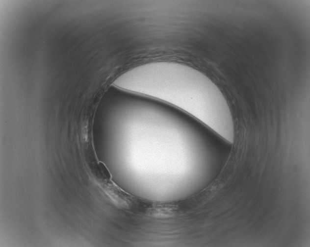 X0000081570368200701151032