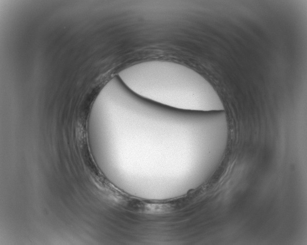 X0000081570371200701151032