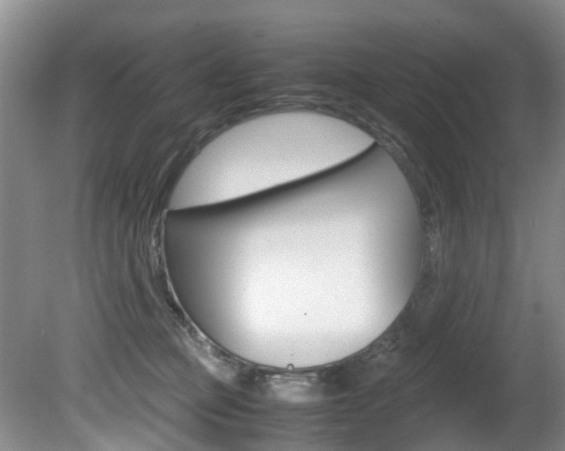 X0000081570373200701151032