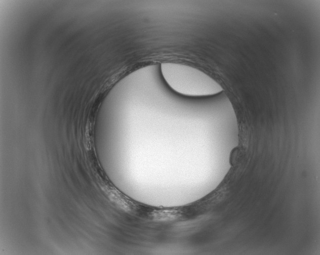 X0000081570378200701151032