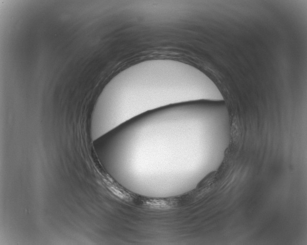 X0000081570381200701151032