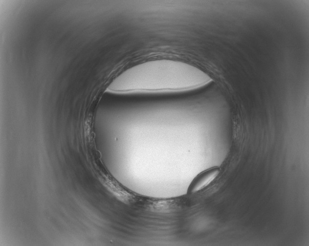 X0000081570382200701151032