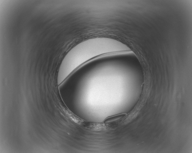 X0000081570384200701151032
