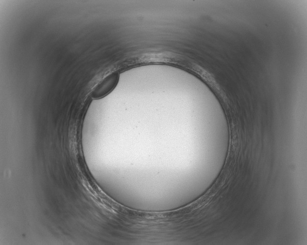 X0000081570386200701151031