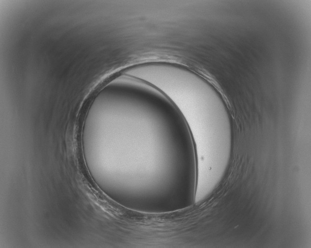 X0000081570387200701151031