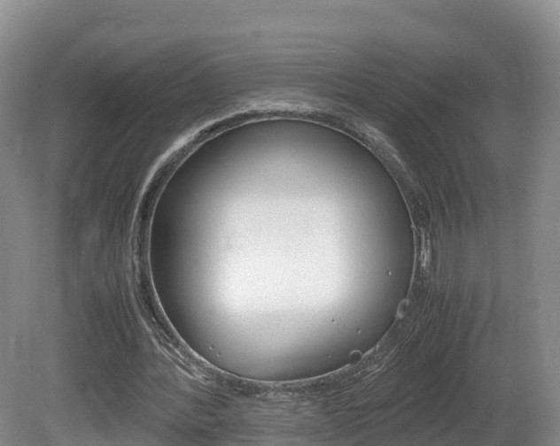 X0000081570388200701151031