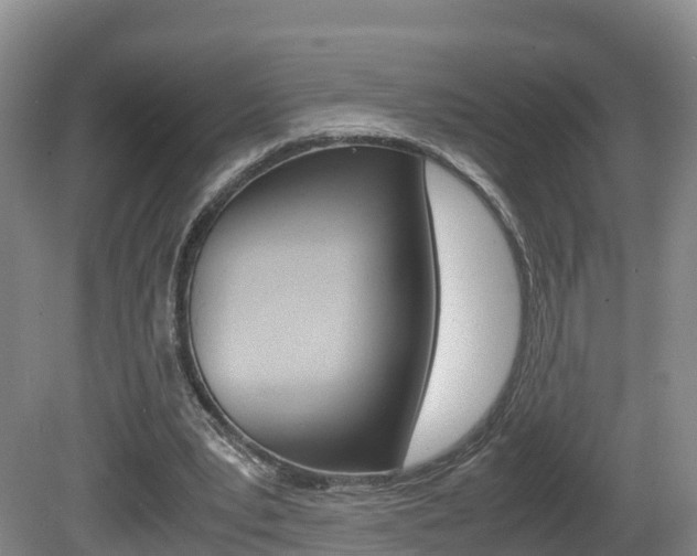 X0000081570391200701151031