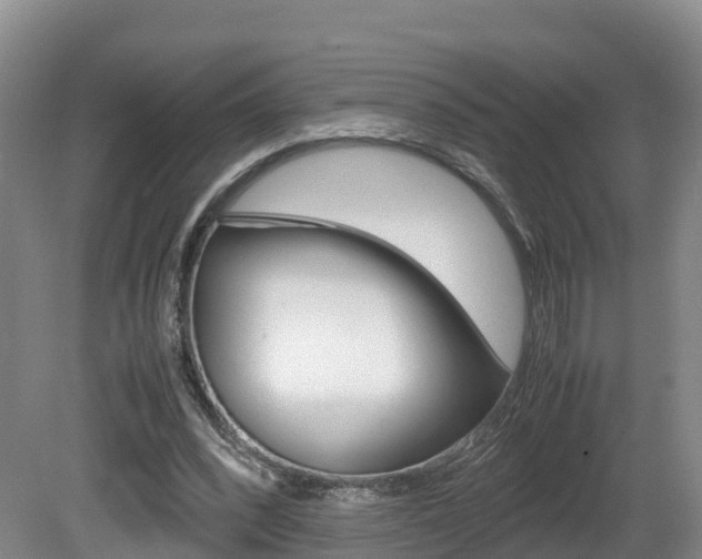 X0000081570392200701151031