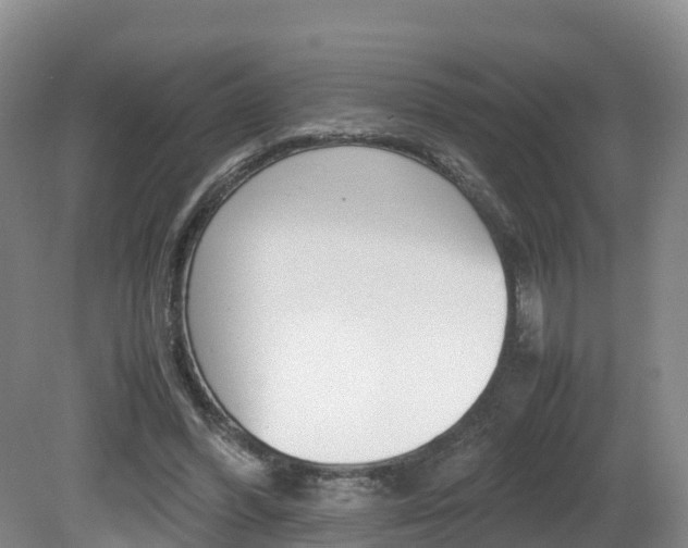 X0000081570396200701151031