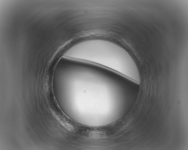 X0000081570400200701151031
