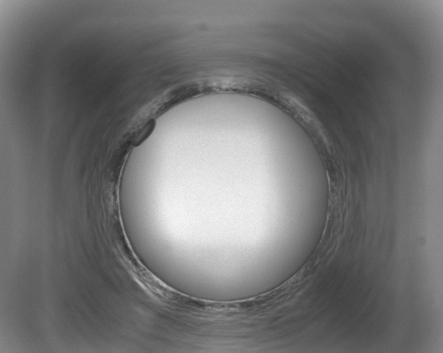 X0000081570401200701151031