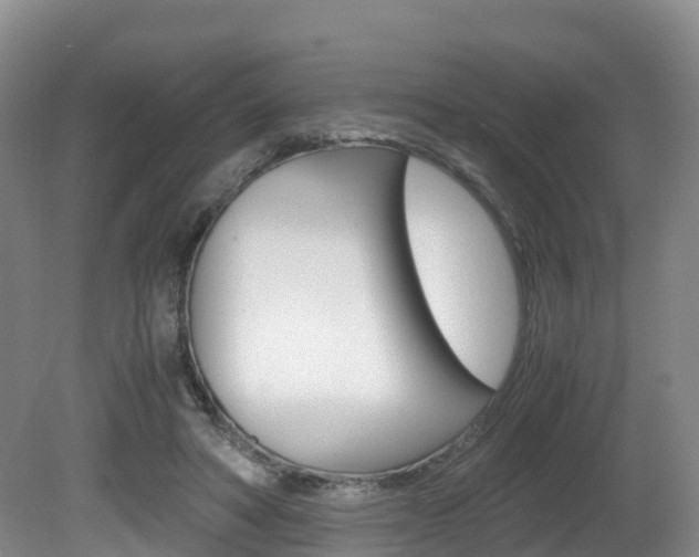 X0000081570402200701151031