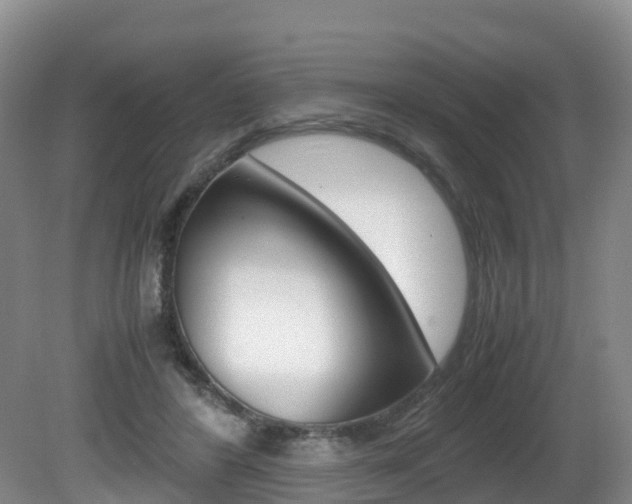 X0000081570404200701151031