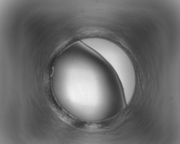 X0000081570407200701151031