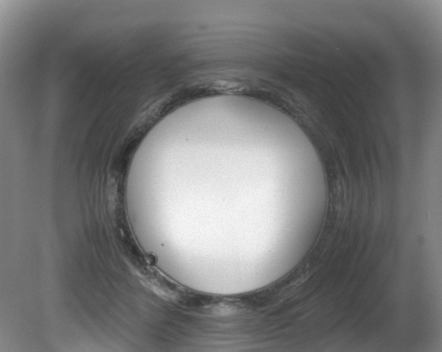 X0000081570412200701151031
