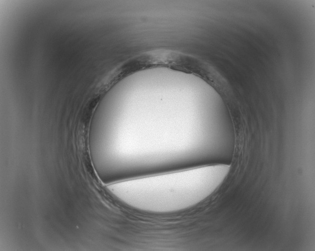 X0000081570413200701151031