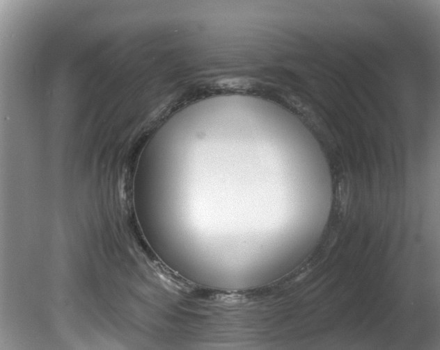 X0000081570424200701151031