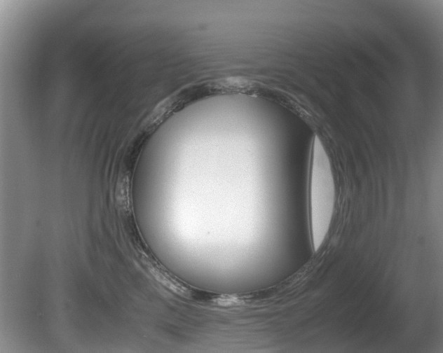 X0000081570425200701151031