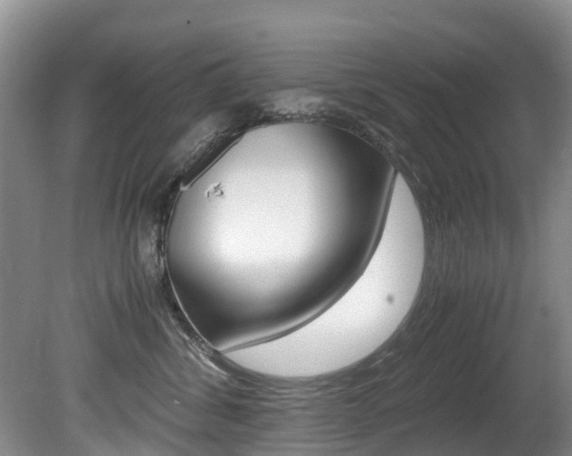 X0000081570428200701151031