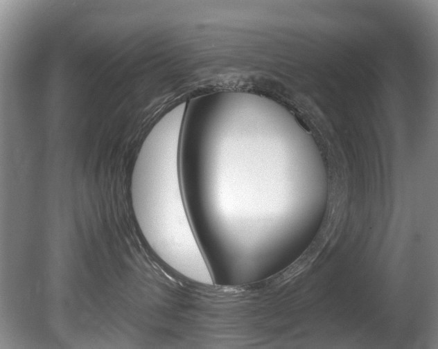 X0000081570432200701151030