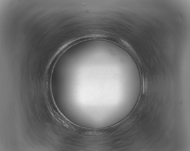 X0000081570435200701151030