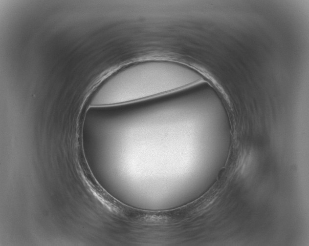 X0000081570437200701151030