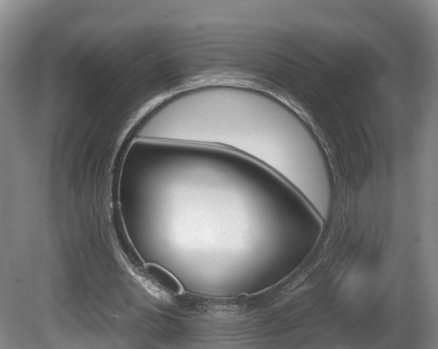X0000081570438200701151030