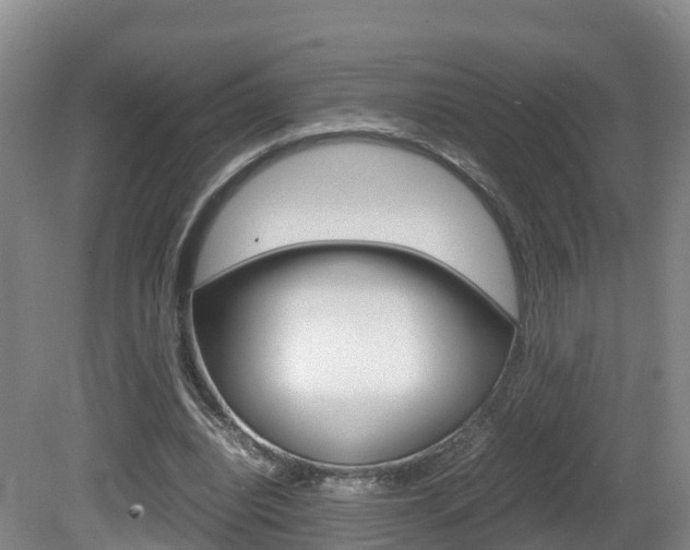 X0000081570440200701151030