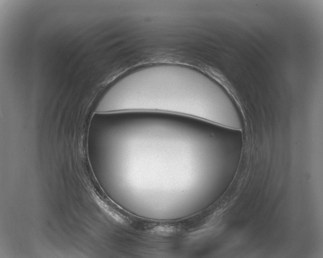 X0000081570441200701151030