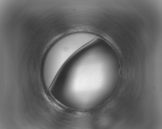 X0000081570442200701151030