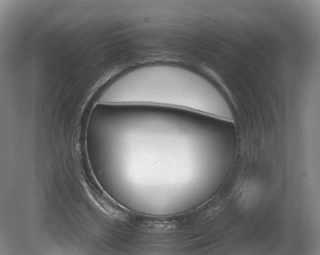 X0000081570443200701151030