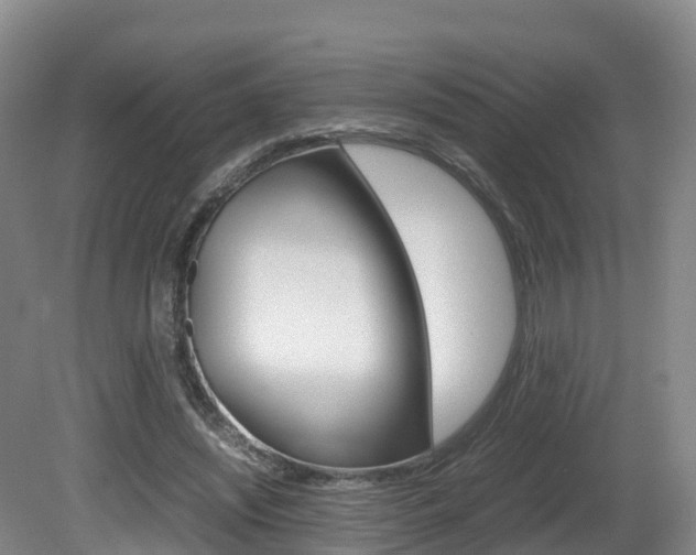 X0000081570444200701151030