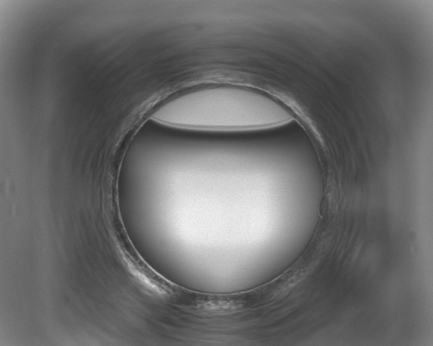 X0000081570445200701151030