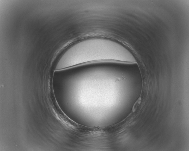 X0000081570446200701151030
