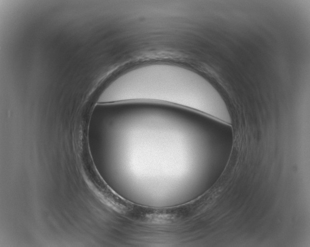 X0000081570448200701151030
