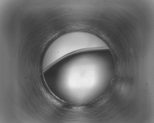 X0000081570450200701151030