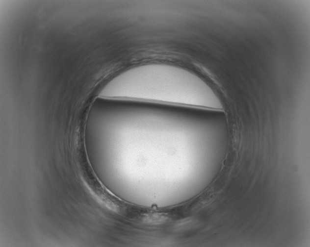 X0000081570451200701151030