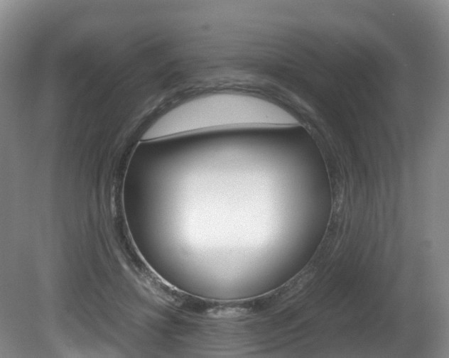 X0000081570452200701151030