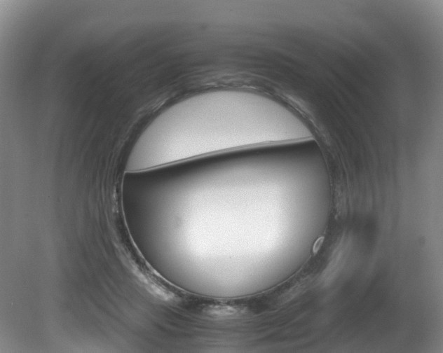X0000081570453200701151030